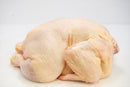 B.B.Q.Chicken