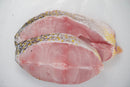 Tilefish / Corvina