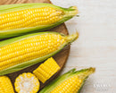 Fresh Corn/ Milho