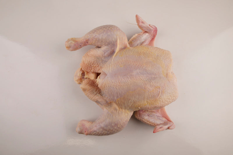Roaster Chicken