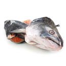 Salmon Head Fresh