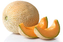 Cantaloupe