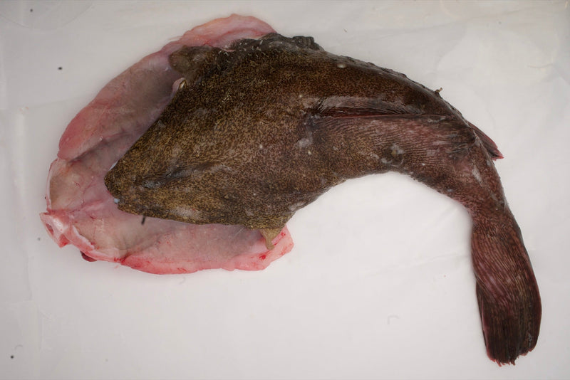 Monk Fish / Tamboril