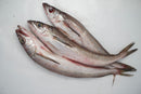 Whiting