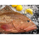 Grouper Acores
