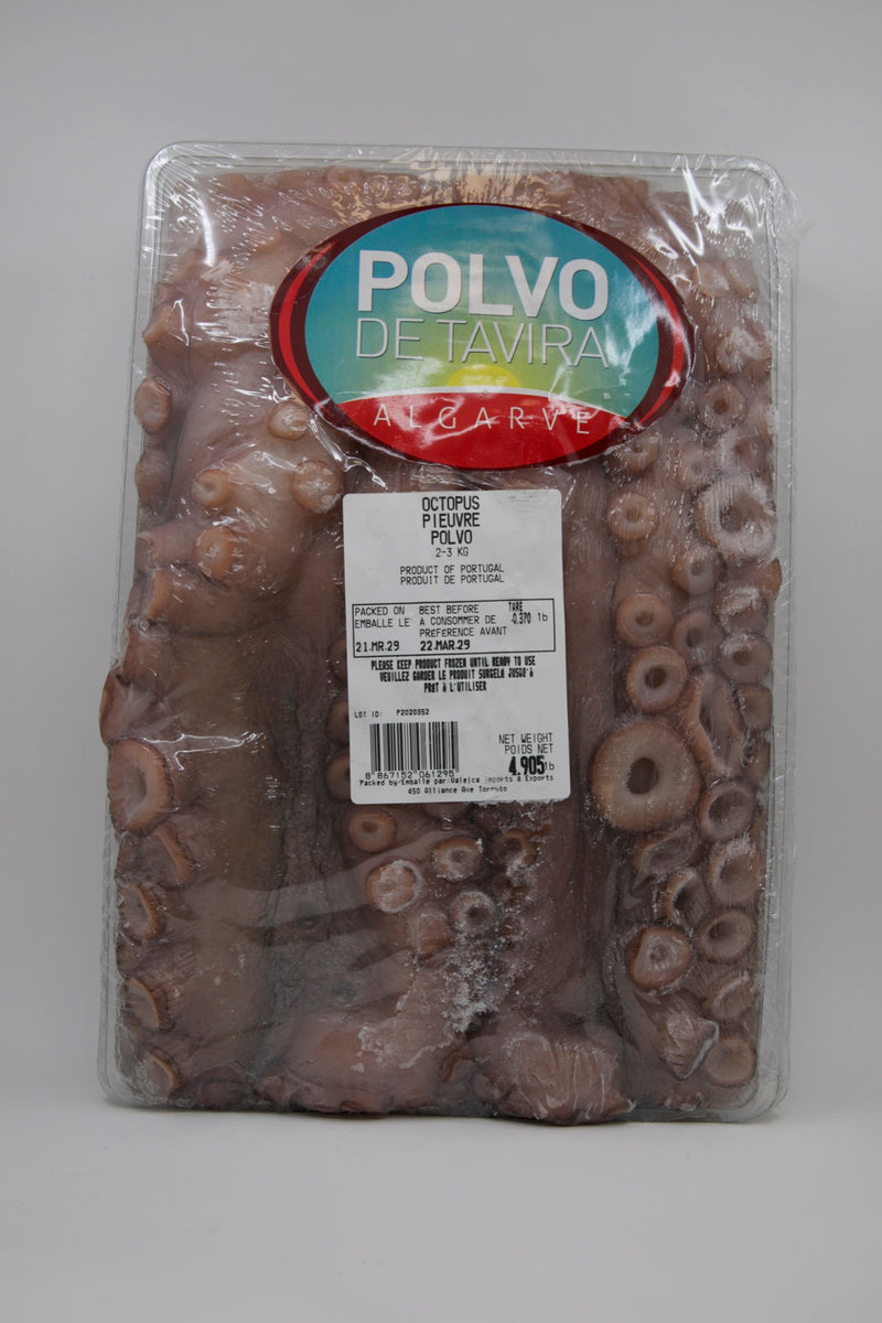 Tavira Octopus 2-3 kg