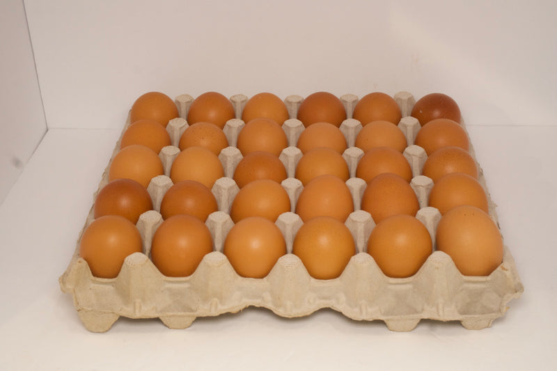 Eggs / Large Brown