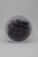Kalamata Turkish Olives lb
