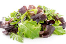 Crunchy Premium Lettuce Mix