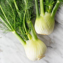 Fennel