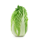 Nappa Cabbage