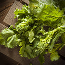 Rapini