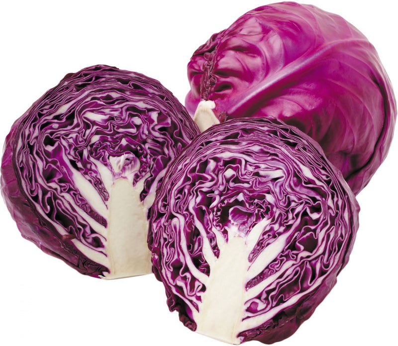 Red Cabbage