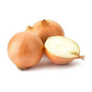 Spanish Onion