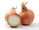 Spanish Onion