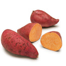SWEET POTATOES / YELLOW