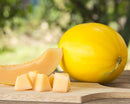Yellow Canary Melon