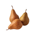 Pear Bosc
