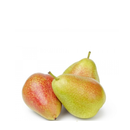 Pear Forelle (Rosemarie)