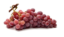 Red Globe Grapes